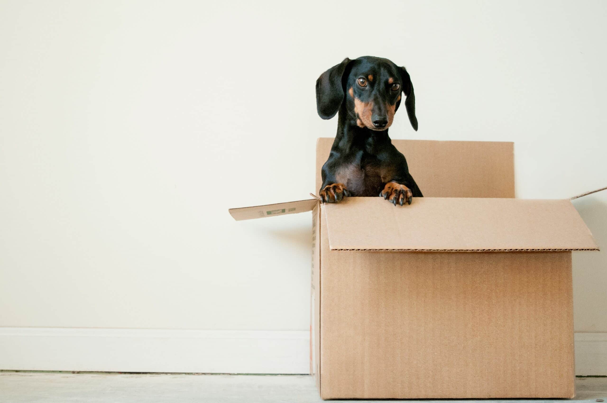 Will Movers Go to a Storage Unit?